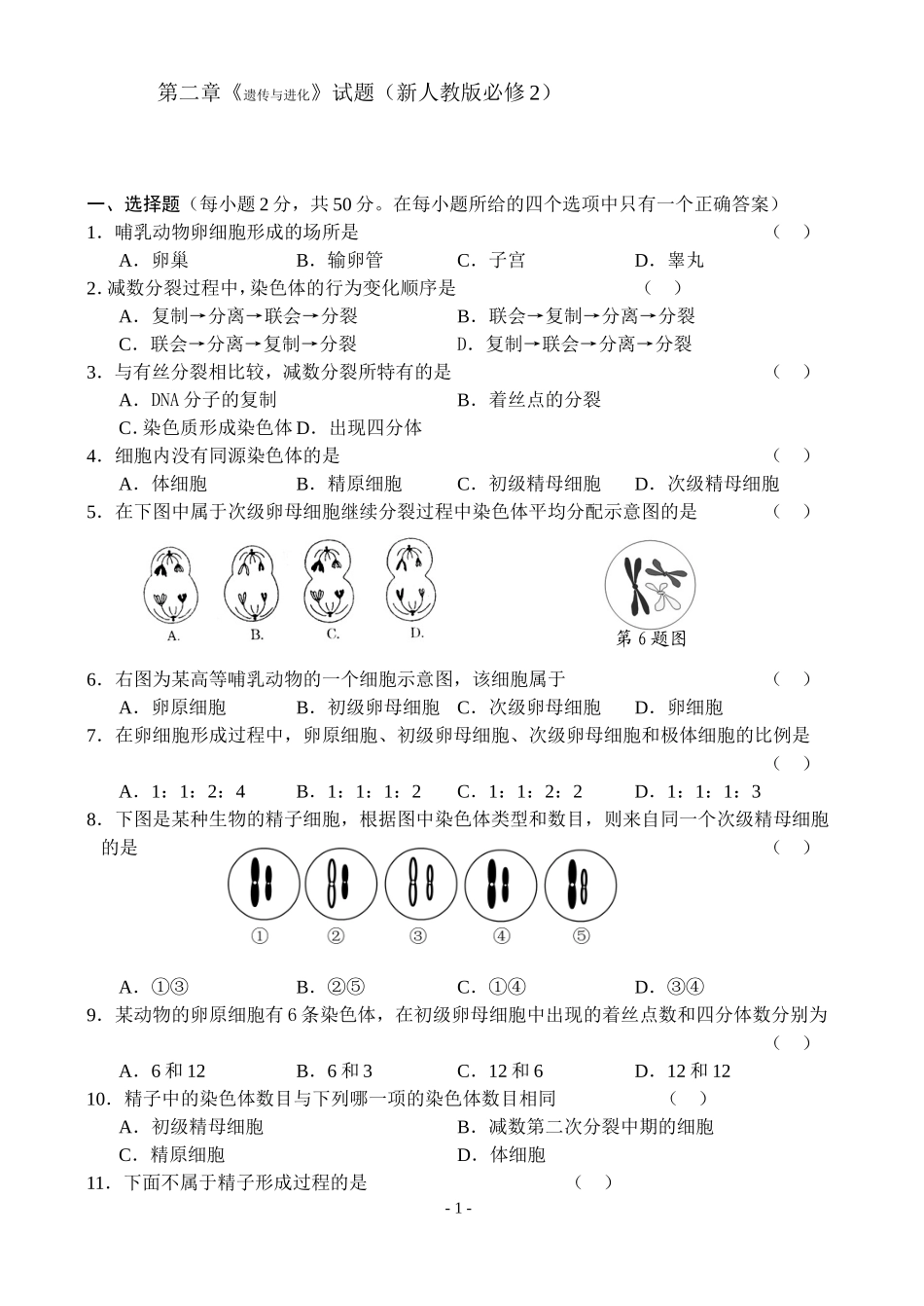 遗传和进化试题_第1页