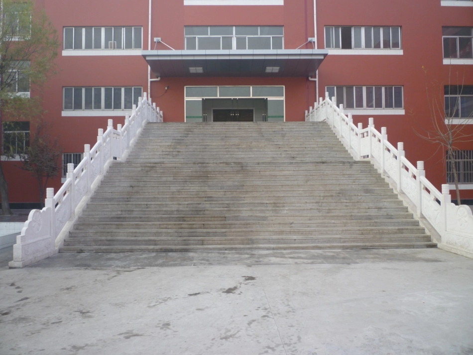 一年级数学上册认识前后、左右、上下课件_第3页