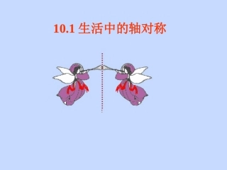 我的生活中的轴对称课件