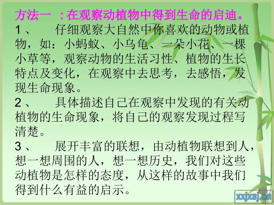 热爱生命 (5)_第3页