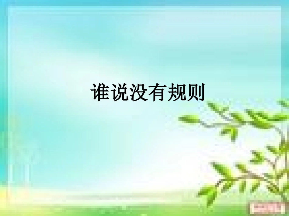 谁说没有规则 (3)_第1页