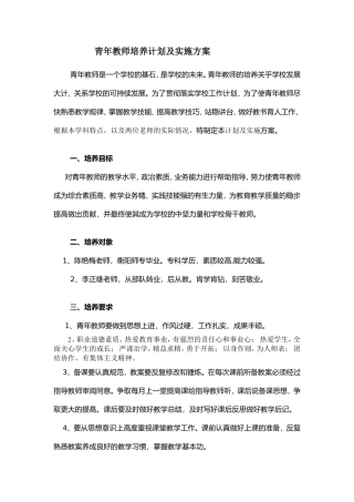 指导青年教师计划及实施方案