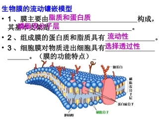 物质进出细胞的方式[2]