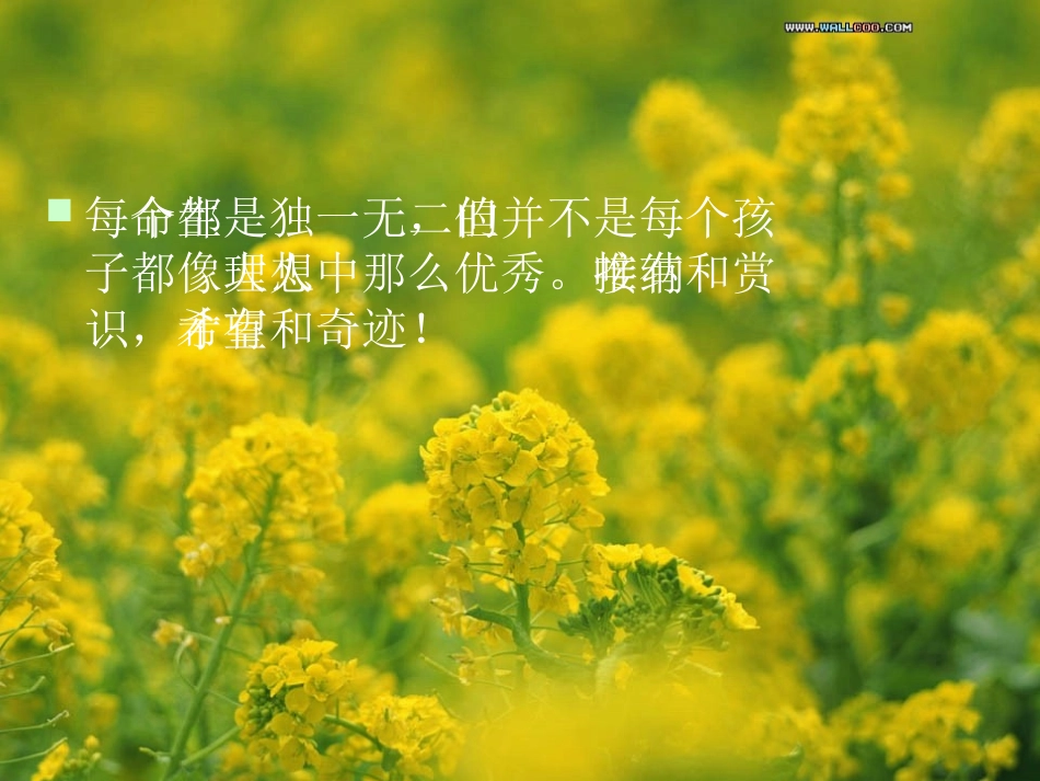 美丽人生的启示_第2页