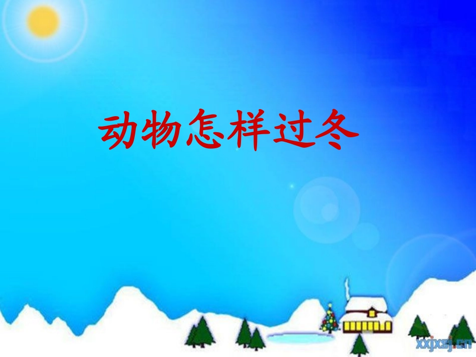 三年级科学动物怎样过冬_第1页
