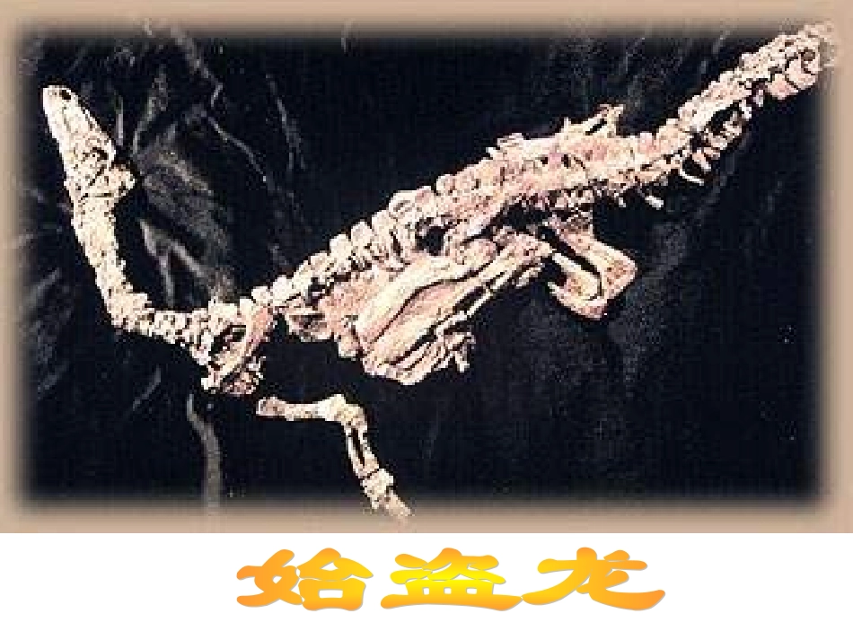 七年级语文化石吟_第2页