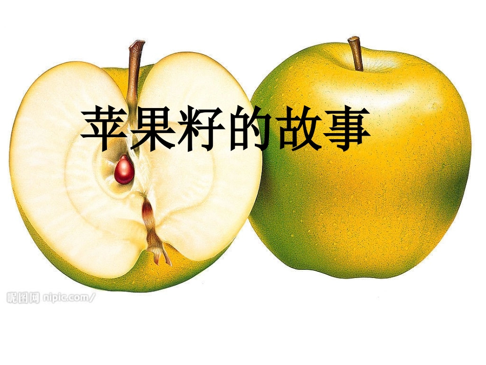 苹果籽的故事_第1页