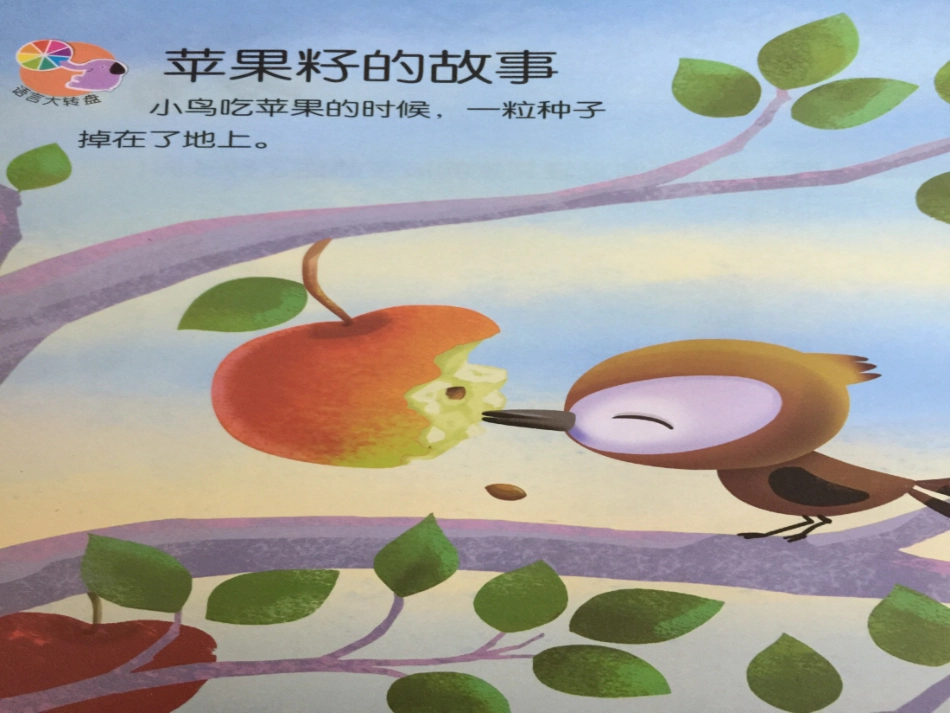 苹果籽的故事_第3页
