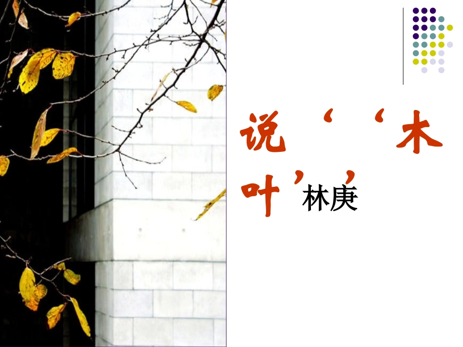 说“木叶”课件_第1页