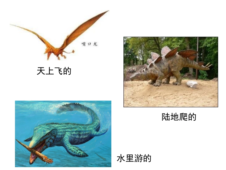 恐龙世界 (3)_第2页