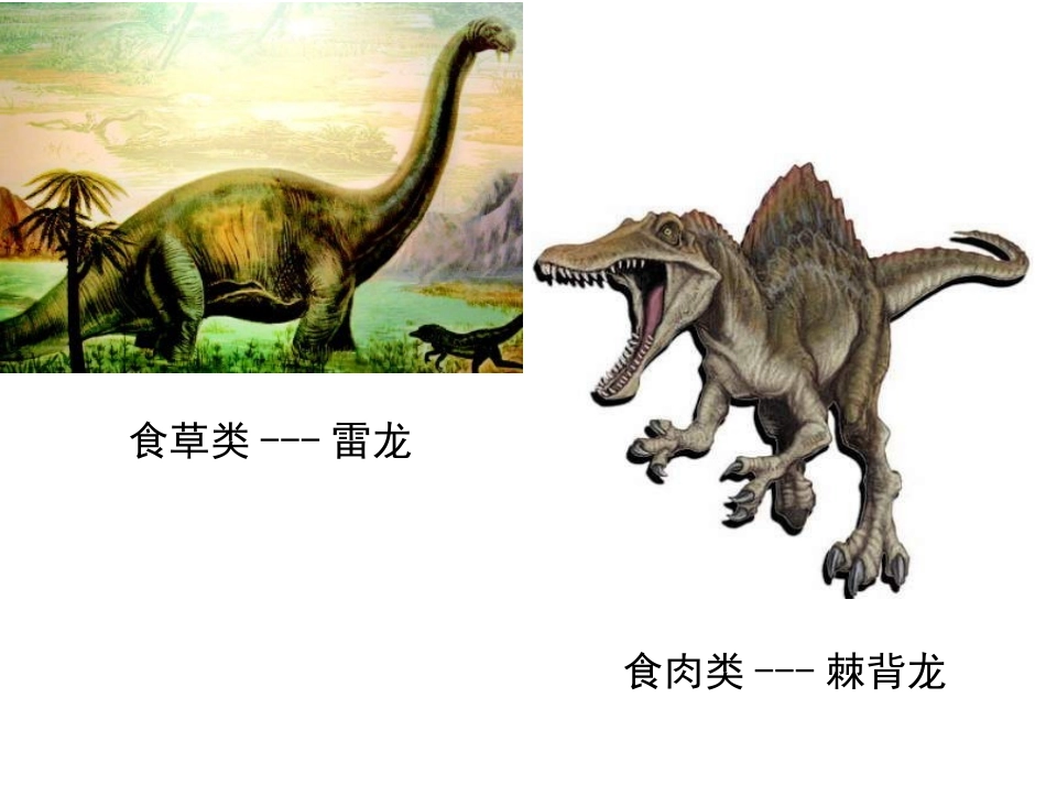 恐龙世界 (3)_第3页