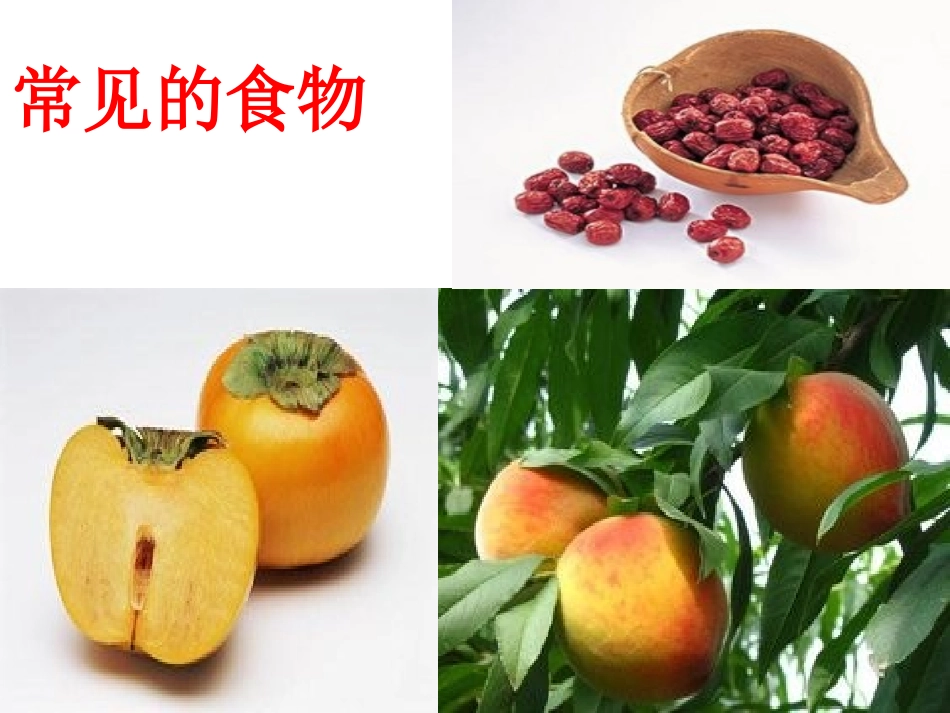 课件《萝卜的故事》_第3页