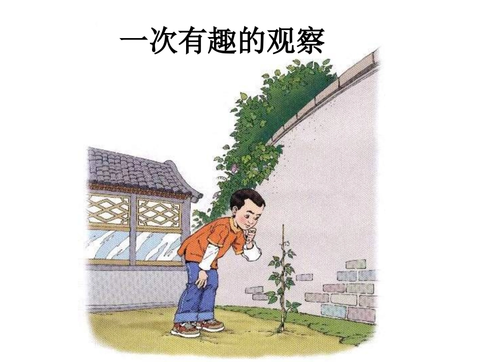 一次有趣的观察_第1页