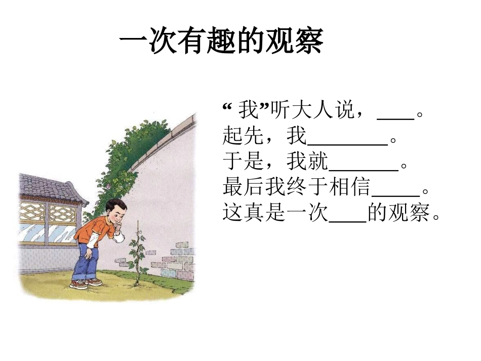 一次有趣的观察_第2页