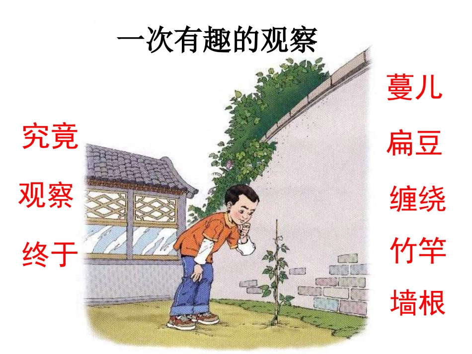 一次有趣的观察_第3页