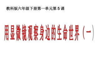 六下一5用显微镜观察身边的生命世界一 (2)