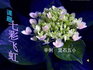 一年级美术《七彩飞虹》课件