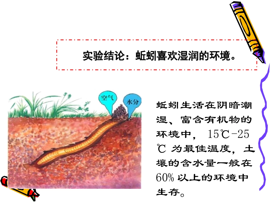 蚯蚓的选择_1_第2页