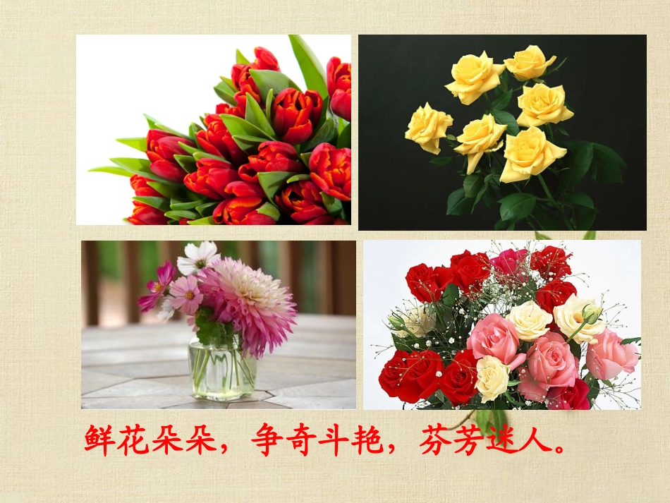 三年级上语文课件-花钟-人教版_第2页