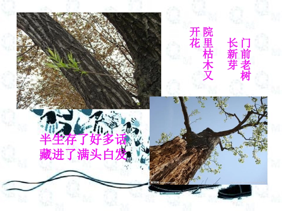 时间都去哪了_第2页