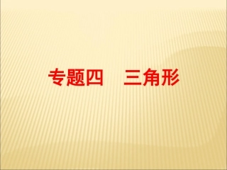 三角形(2016中考数学二轮复习(专题突破强化训练)