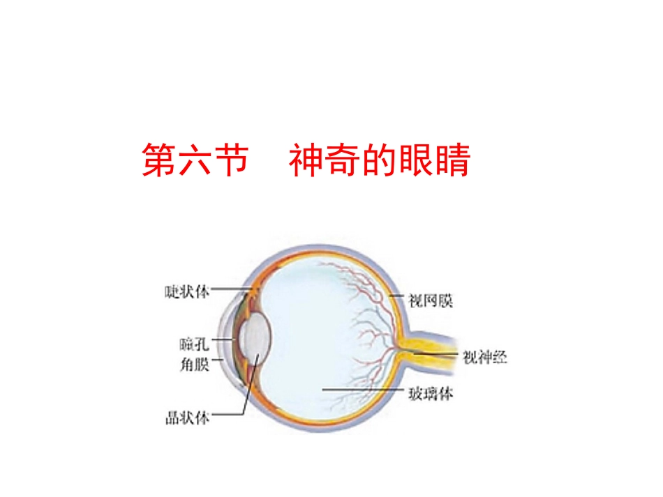用凸透镜应用_第1页