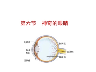 用凸透镜应用