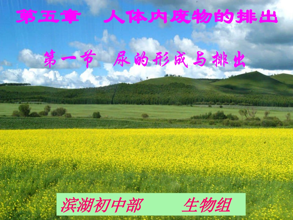 七年级生物第五章第一节尿的形成与排出_第1页