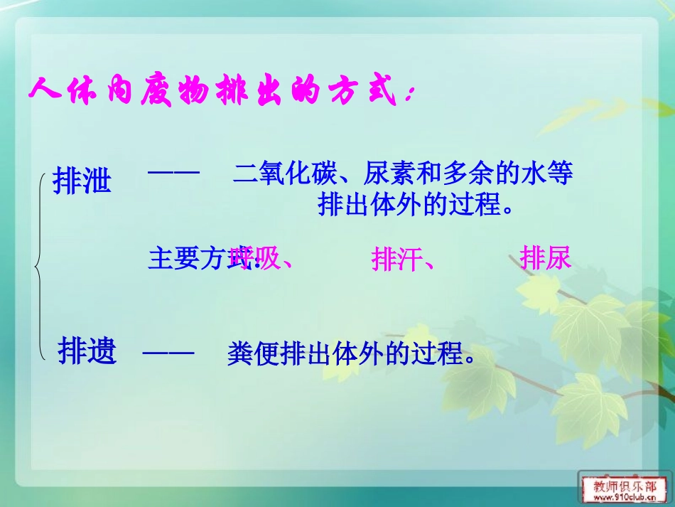 七年级生物第五章第一节尿的形成与排出_第3页