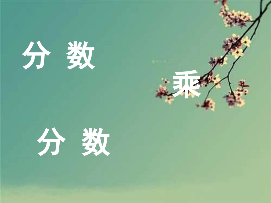 一个数乘分数(2)_第1页
