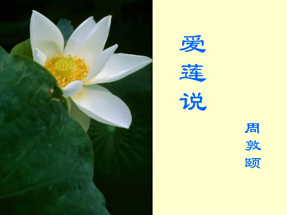 七年级语文下册《爱莲说》课件_第1页