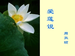 七年级语文下册《爱莲说》课件