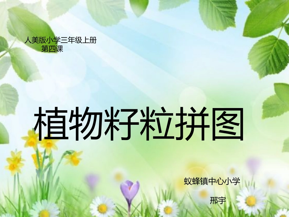 植物籽粒拼图_第1页