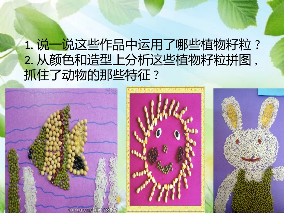 植物籽粒拼图_第3页