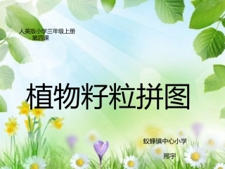植物籽粒拼图