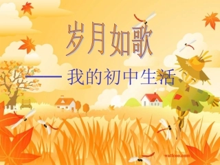 九下第六单元综合学习活动 (2)