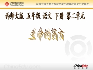西师大版小学五下《生命的药方》课件2 (2)