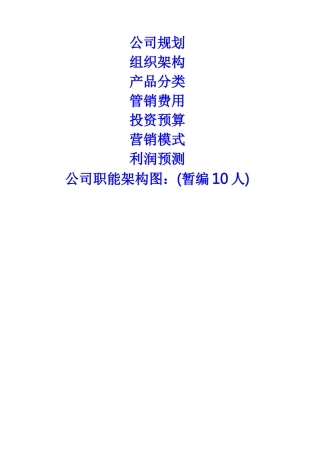 新公司成立规划策划方案