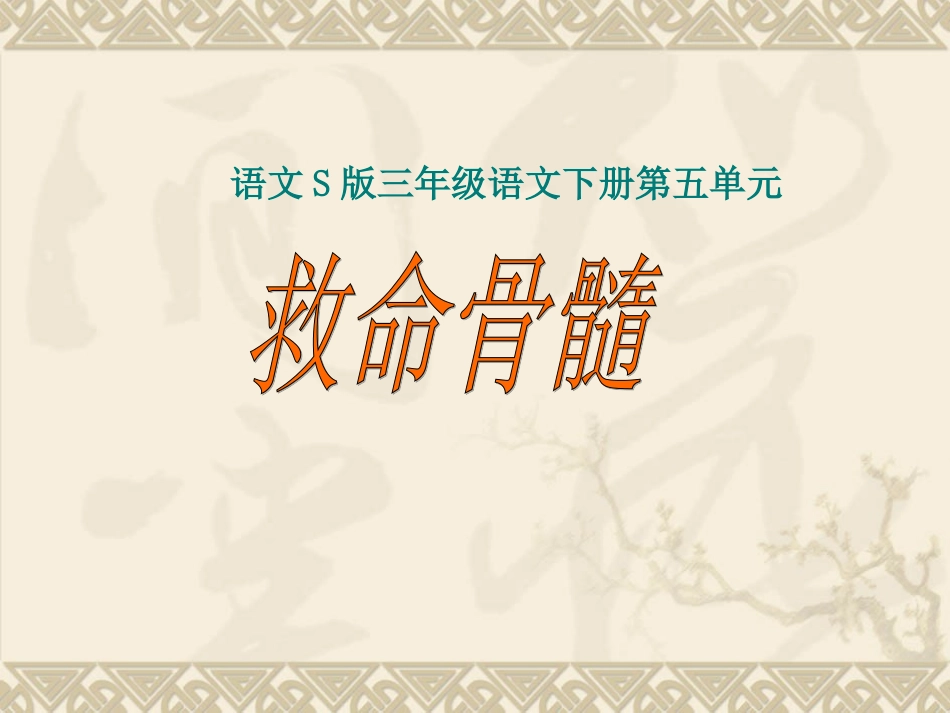 三下《救命骨髓》课件3_第1页