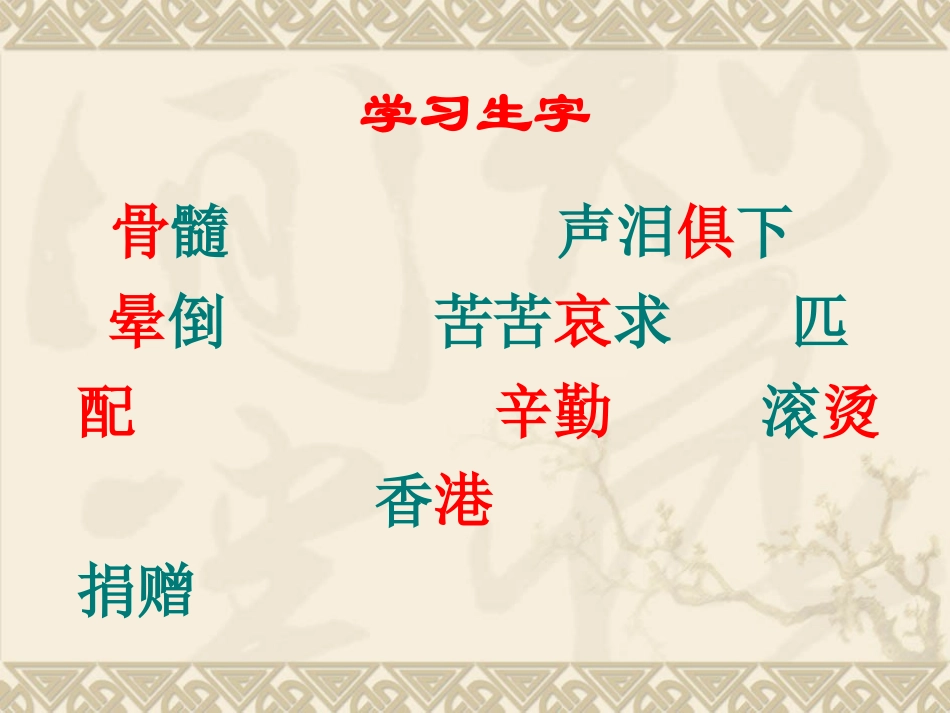 三下《救命骨髓》课件3_第2页