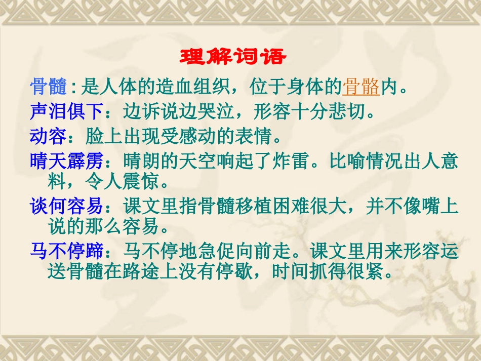 三下《救命骨髓》课件3_第3页