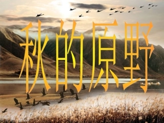 秋的原野定稿
