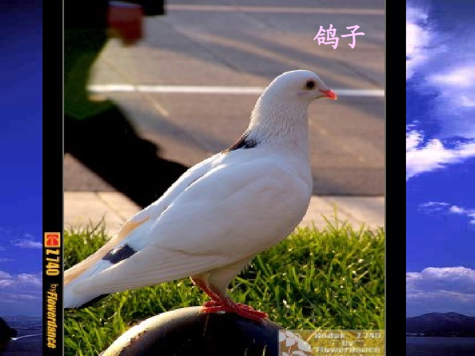 明天不封阳台_第2页