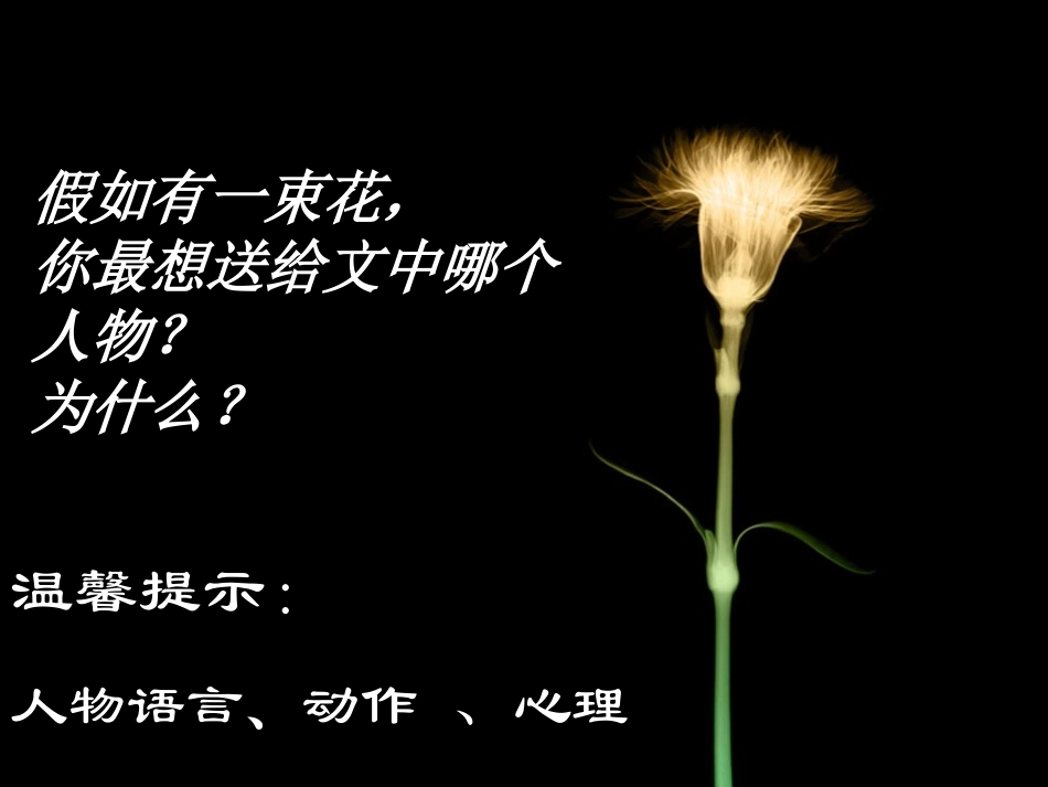 七年级语文上册 第五单元《散步》课件 人教新课标版_第3页