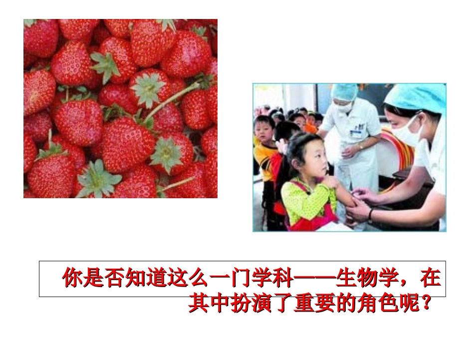 七年级上册-第一章-认识生物第一节-生物的特_第3页