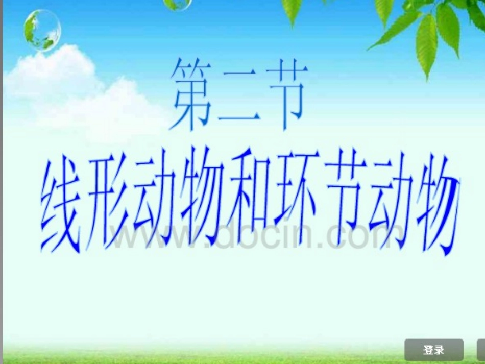 线形和环节动物_第1页