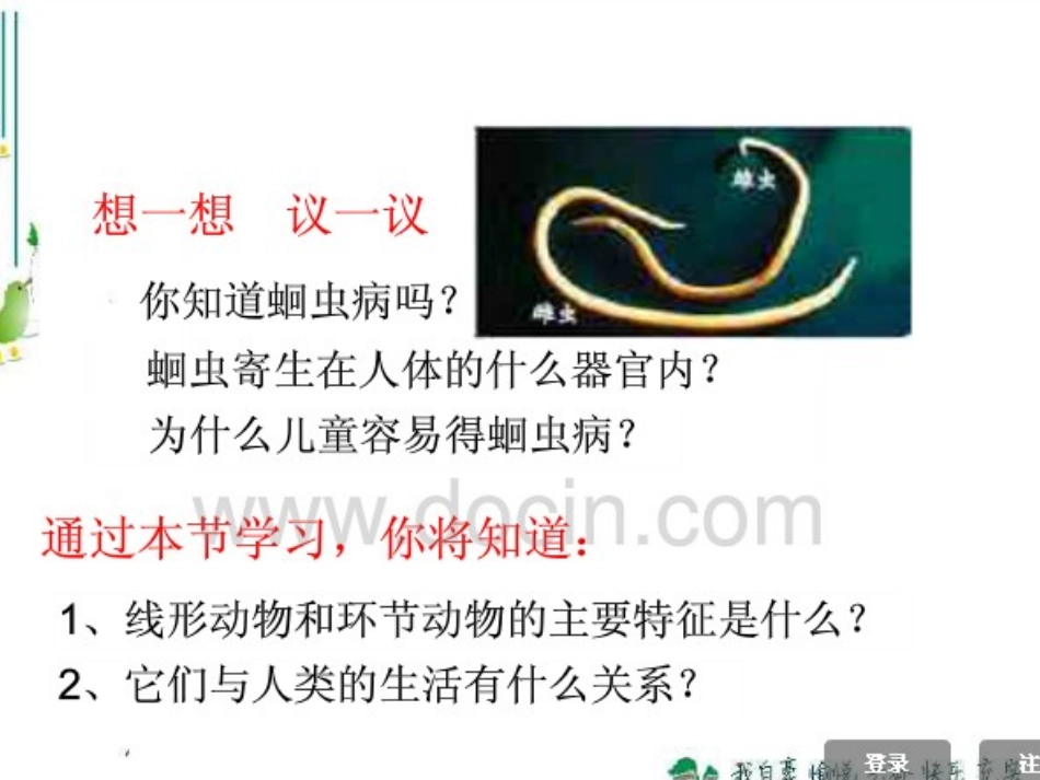 线形和环节动物_第3页