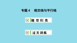 七年级数学上册专题4相交线与平行线课件(新版)华东师大版