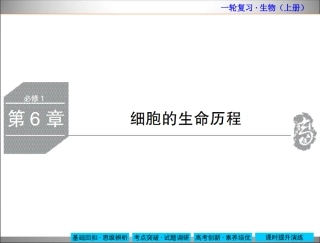细胞的生命历程