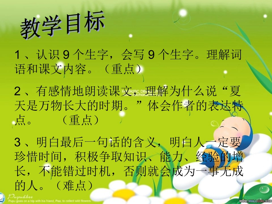 在夏天里成长 (2)_第2页